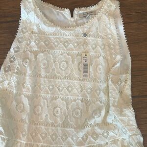 Max Studio Lace dress